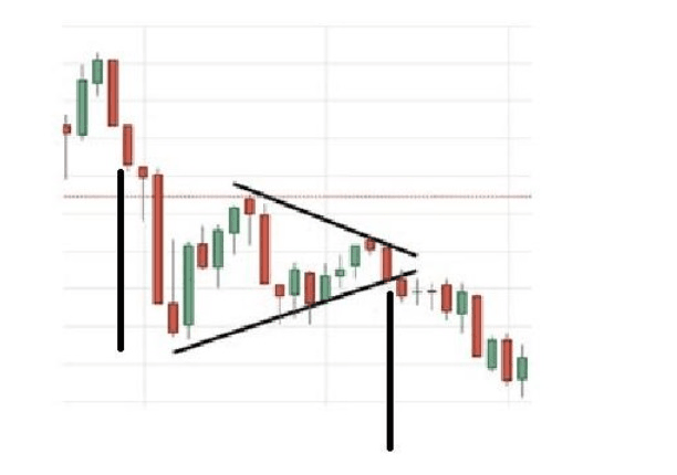 medvědí praporkový vzor