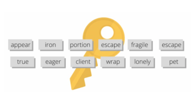 hot wallet seed frázi