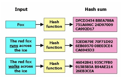 Transformace provedená hashovací funkcí | Zdroj: FreeCodeCamp