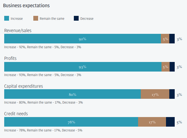 Očekávání příjmů z podníkaní v Indii pro rok 2025