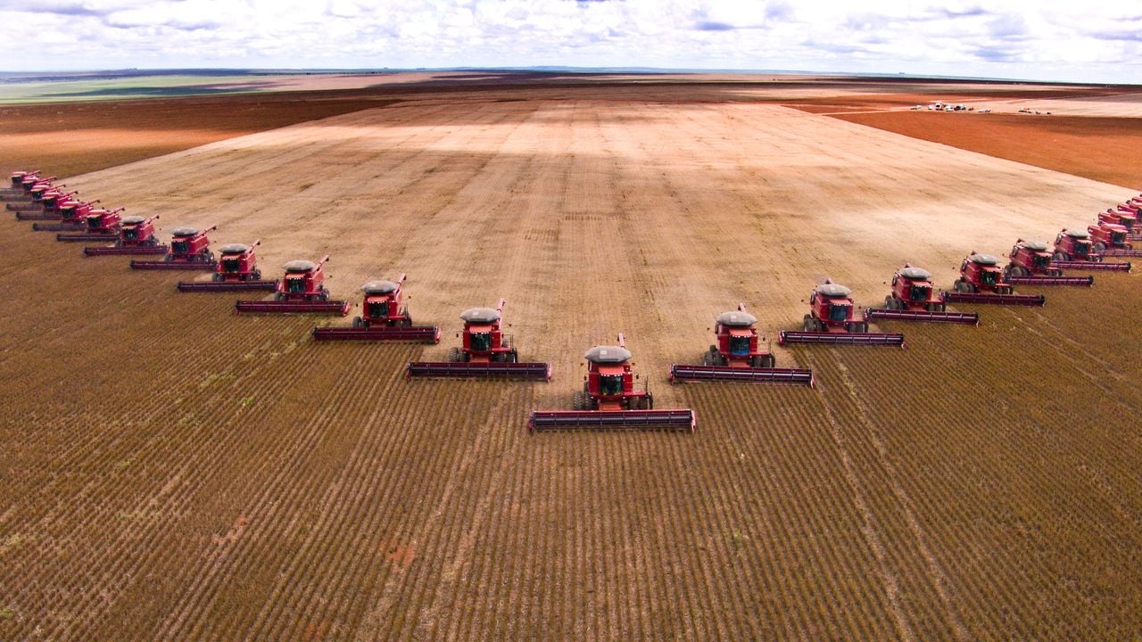 Intenzivní zemědělství