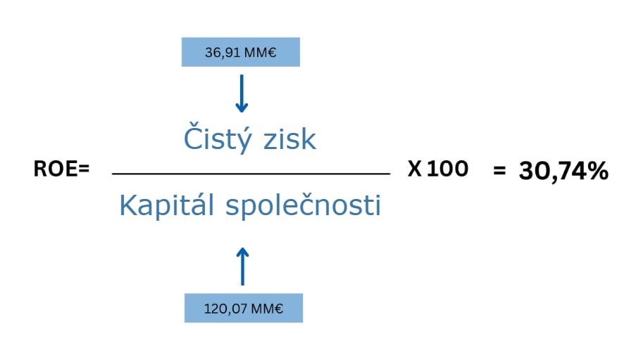 ROE Vzorec společnosti Italian Sea Group