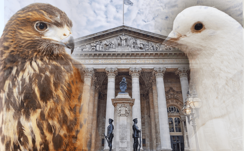 Monetární politika: Jestřábi a Holubi (Hawkish and Dovish)