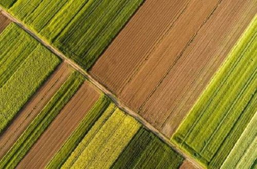 investovat do zemědělství