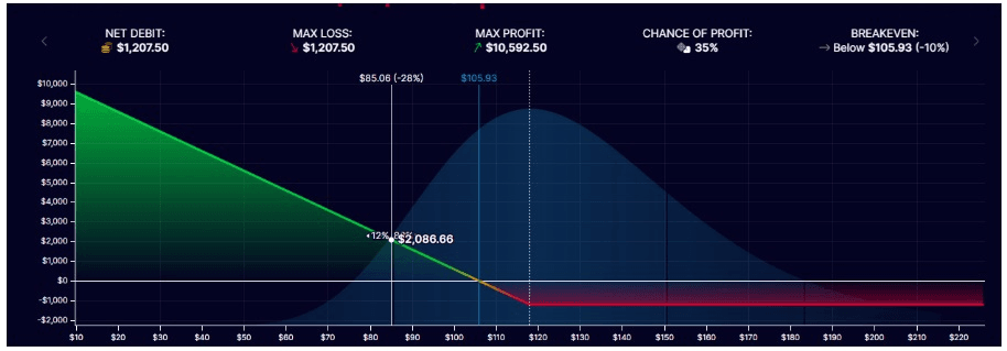 long put - zisk a ztráta