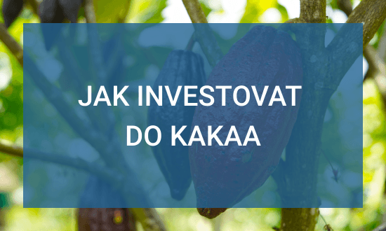jak investovat do kakaa