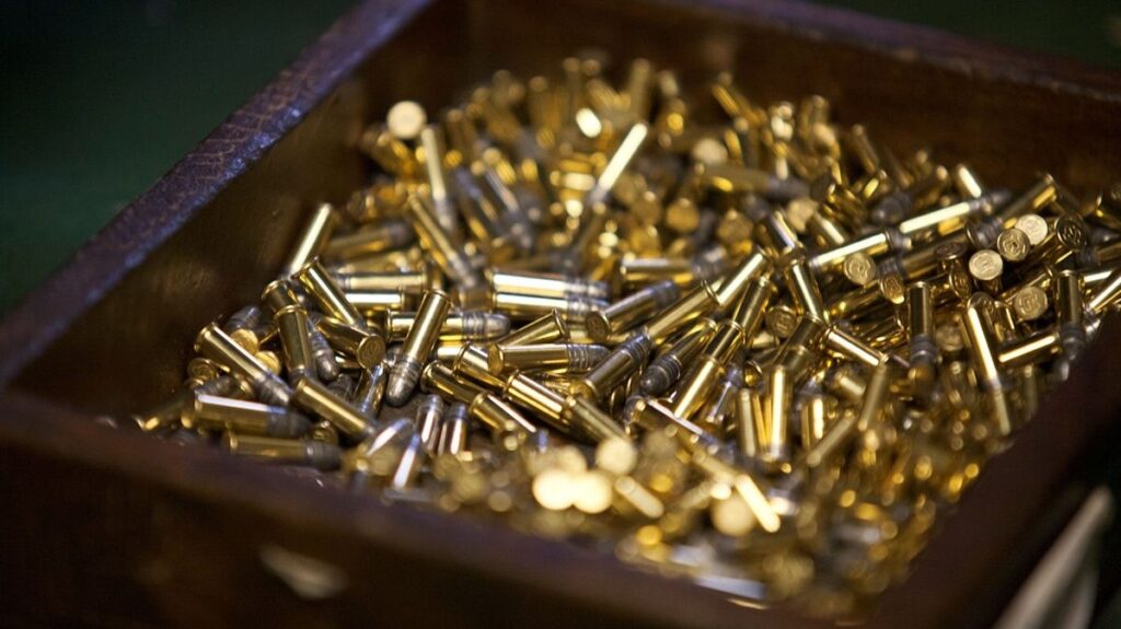 Akcie Česká zbrojovka