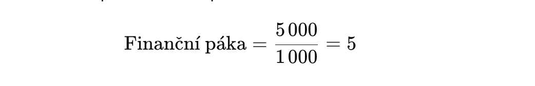 finanční páka vzorec_příklad