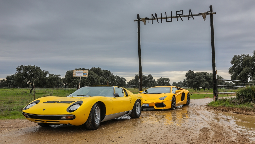 lamborghini-miura